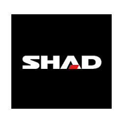 Shad