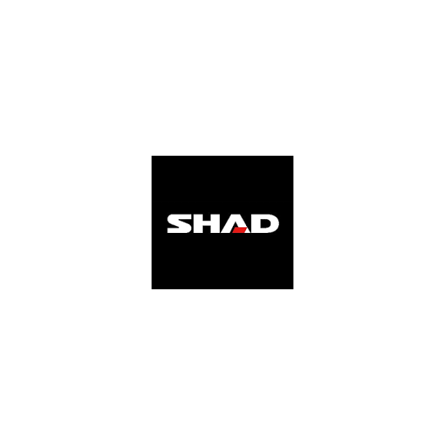 Shad